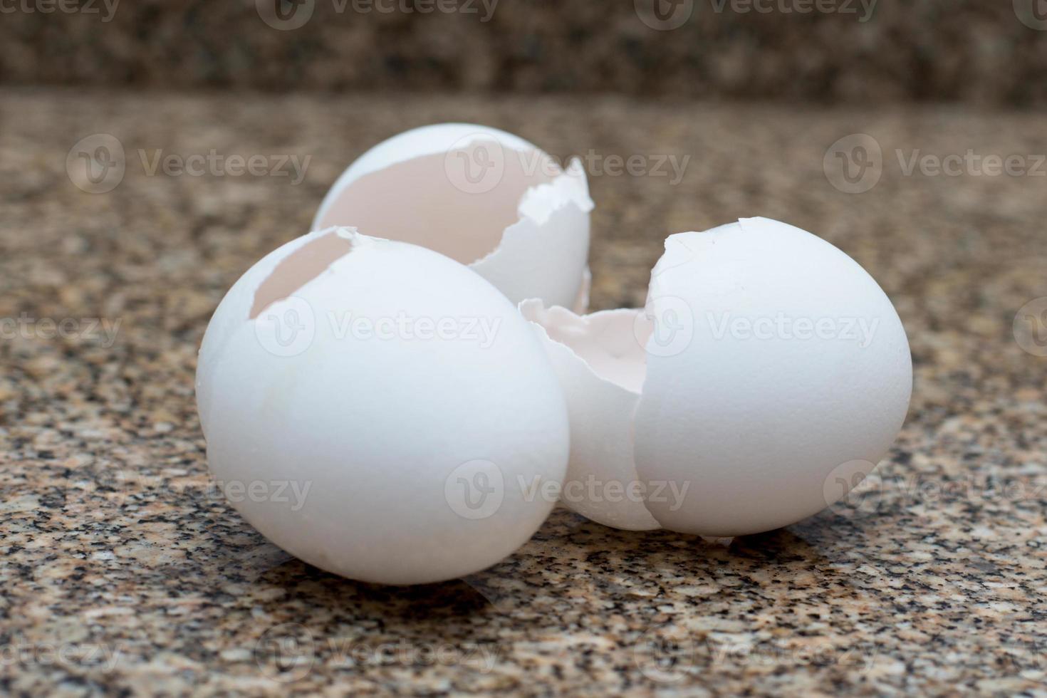 guscio d'uovo 1 foto