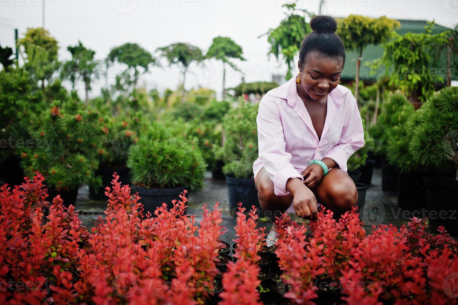 donna africana in camicia rosa grande posata in giardino con piantine. foto