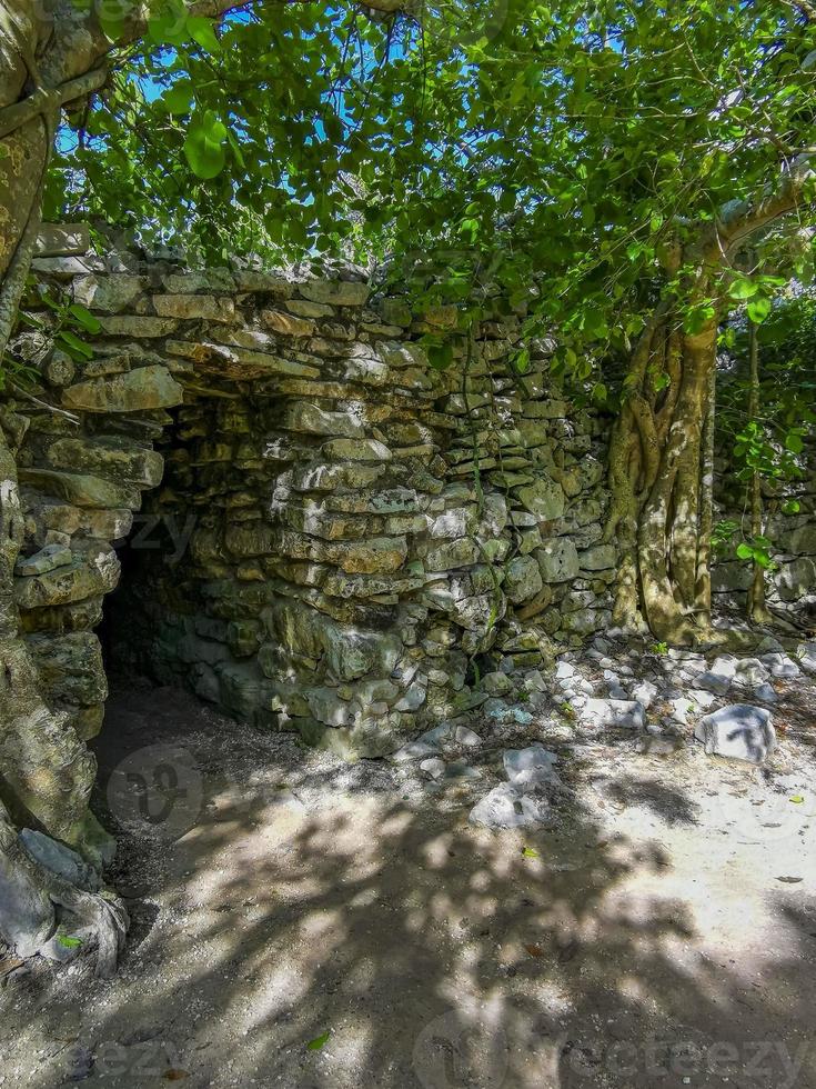 antiche rovine di tulum sito maya tempio piramidi manufatti vista sul mare messico. foto