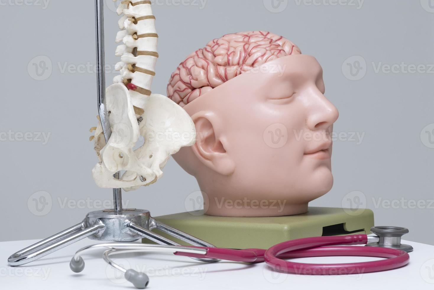 uno stetoscopio e un cervello, modello della colonna vertebrale sul tavolo foto