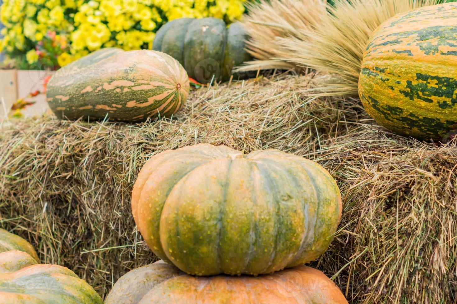 decorazione autunnale di halloween di zucche, fiori e fieno per strada. concetto di mercato rurale foto