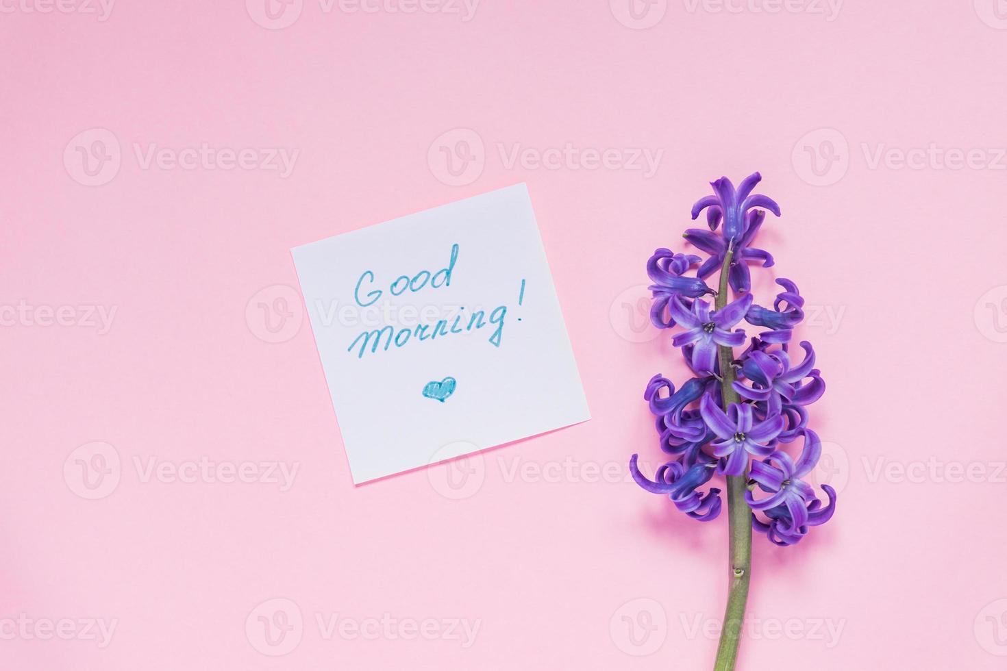 etichetta di carta del buongiorno e fiore di giacinto viola su sfondo rosa pastello foto