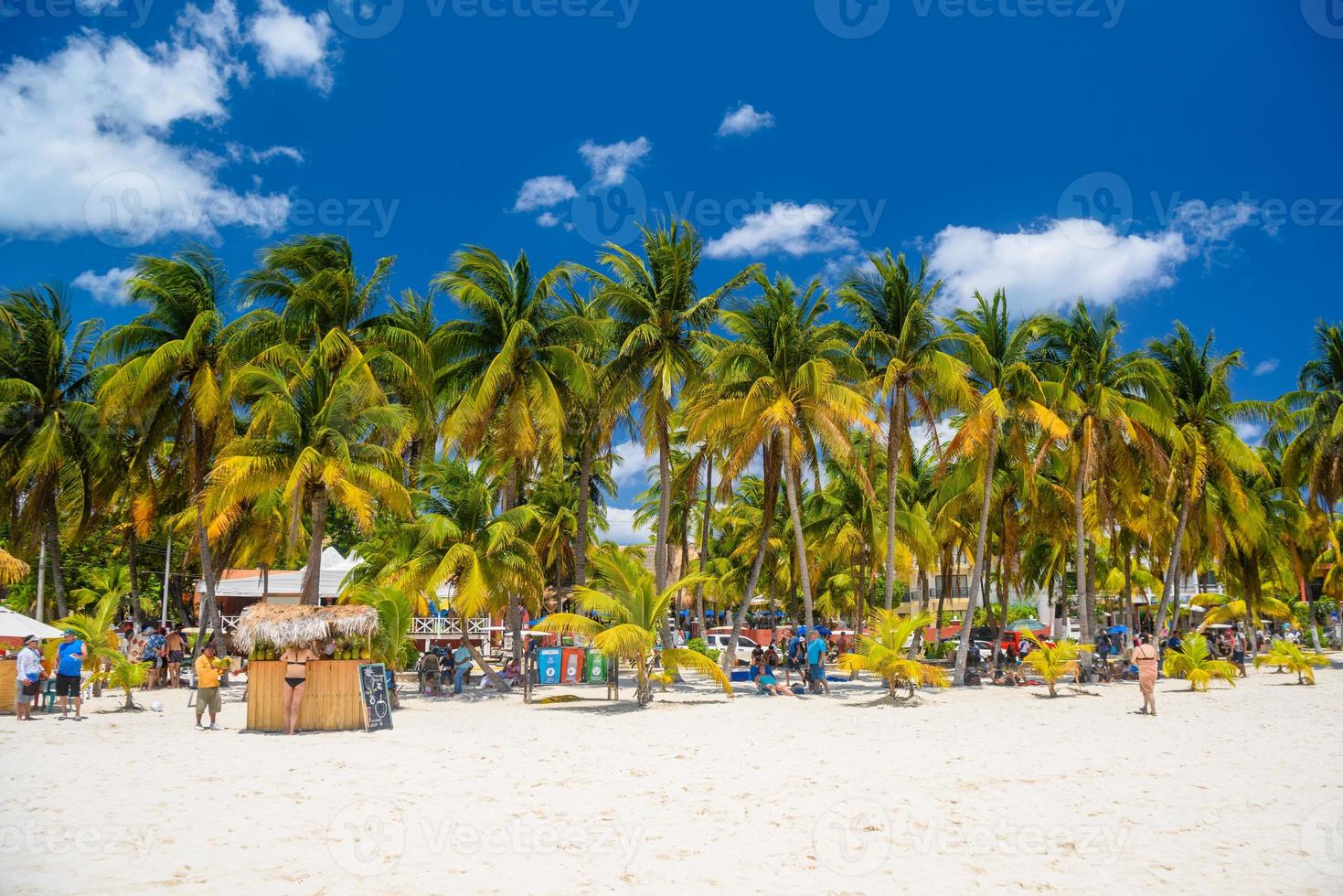 Cocos Beach bar su una spiaggia con sabbia bianca e palme in una giornata di sole, isola di Isla Mujeres, Mar dei Caraibi, Cancun, Yucatan, Messico foto