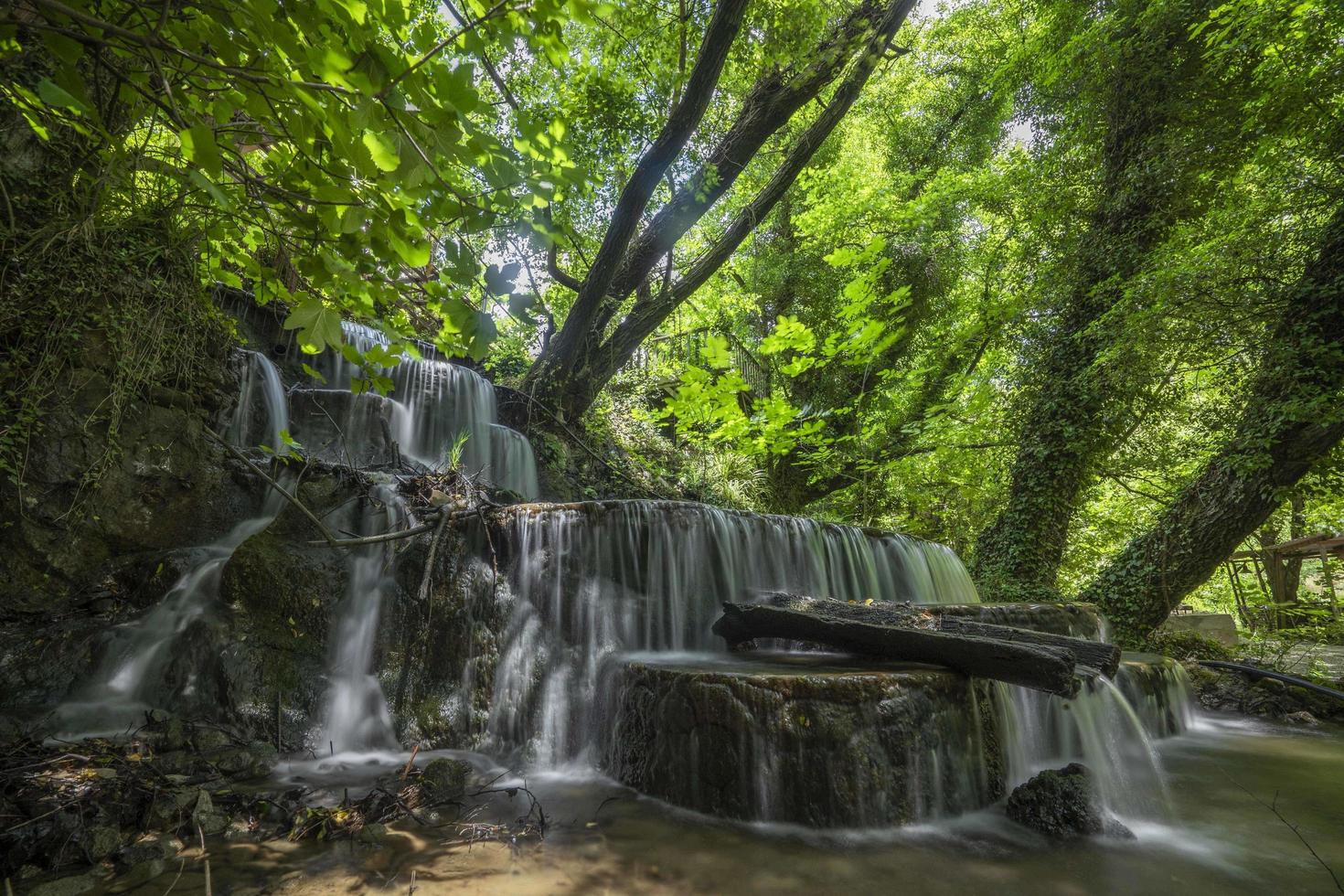 montagna fiume ruscello cascata verde foresta paesaggio natura pianta albero foresta pluviale giungla foto