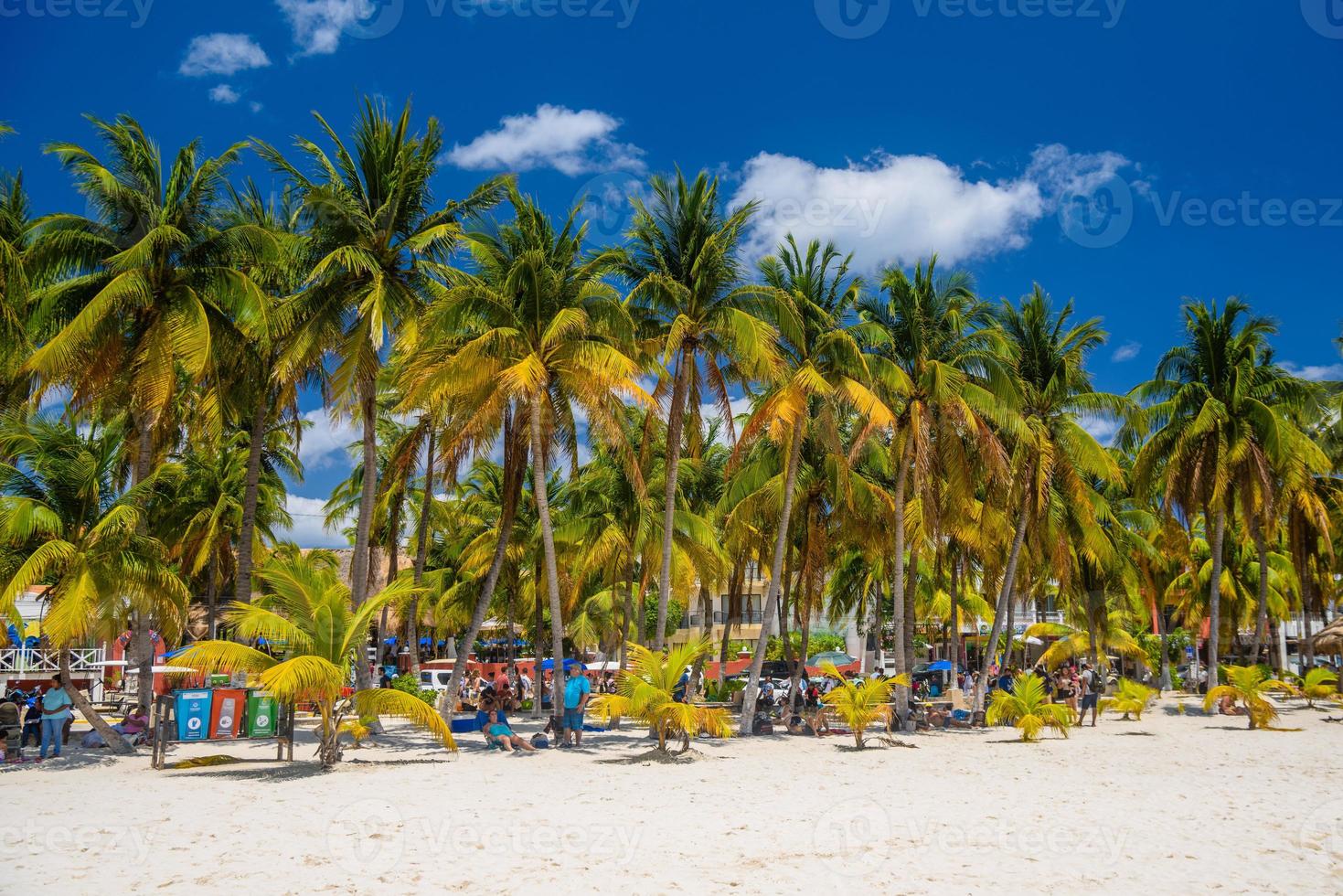 bianca sabbia spiaggia con cocos palme, isla mujeres isola, caraibico mare, Cancun, Yucatan, Messico foto