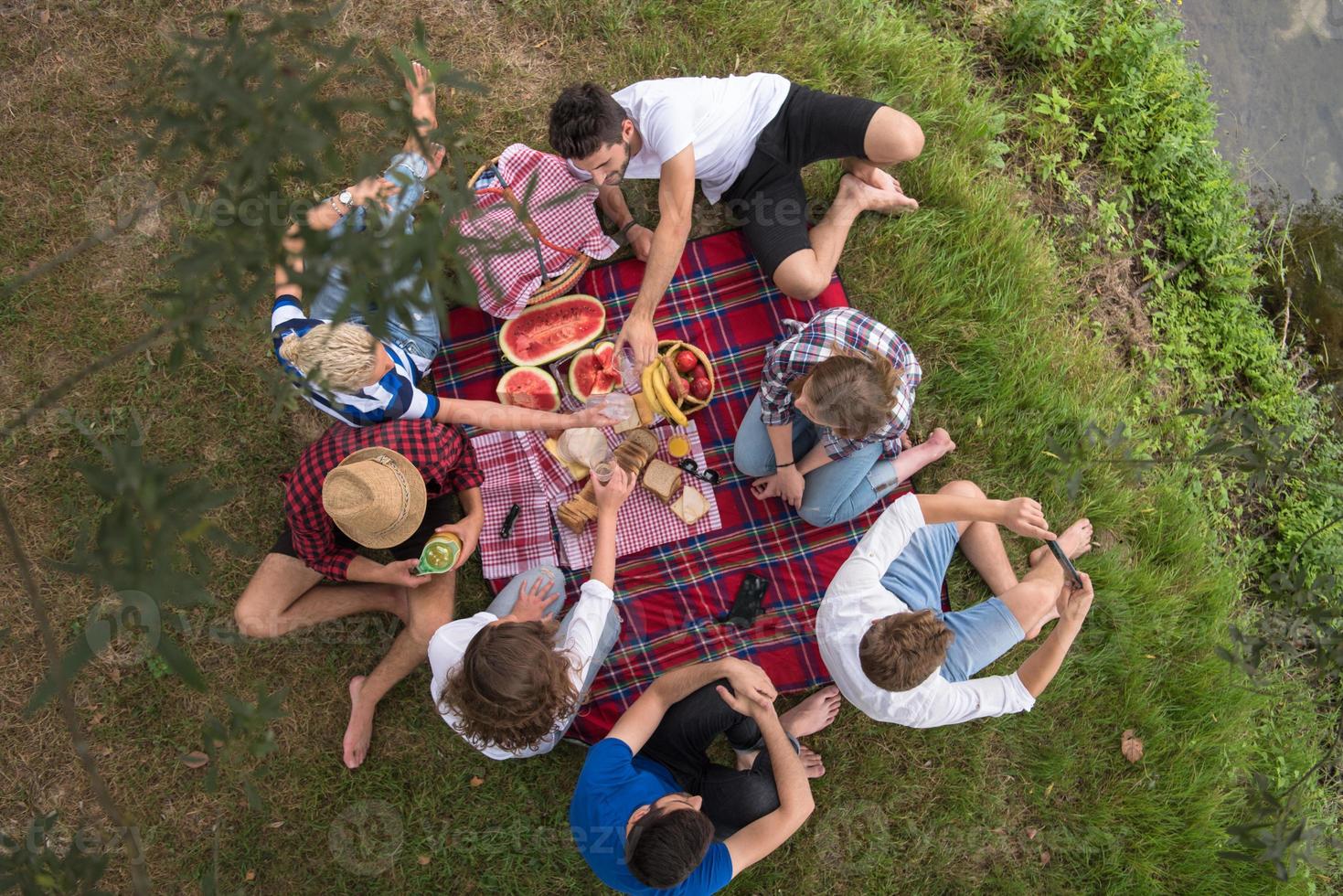 vista dall'alto di amici di gruppo che si godono il picnic foto
