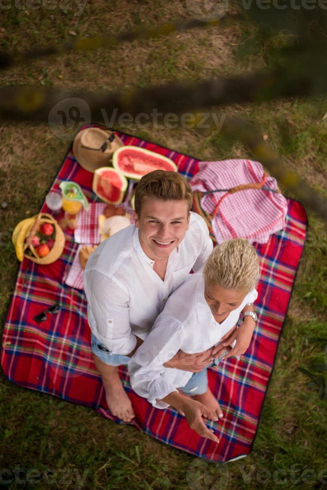 vista dall'alto delle coppie che si godono il picnic foto