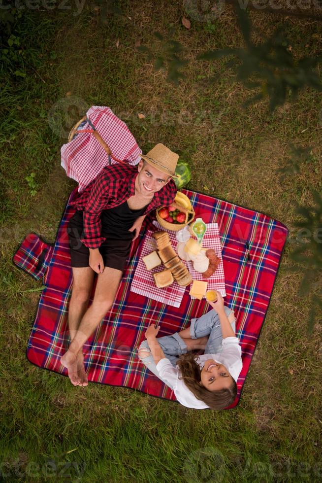 vista dall'alto delle coppie che si godono il picnic foto