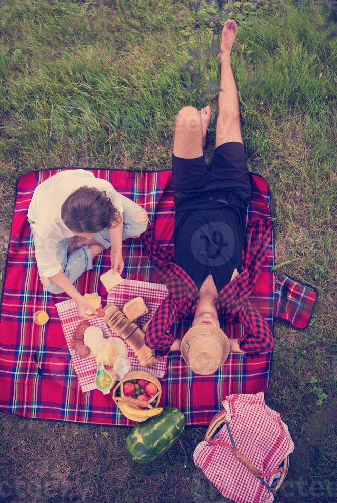 vista dall'alto delle coppie che si godono il picnic foto