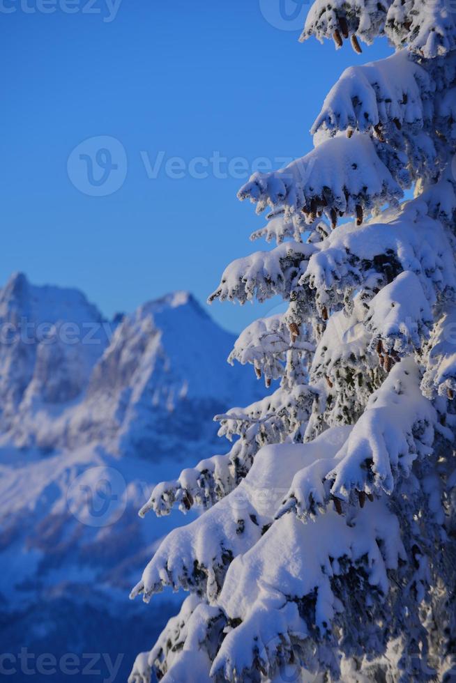 paesaggio invernale di montagna foto