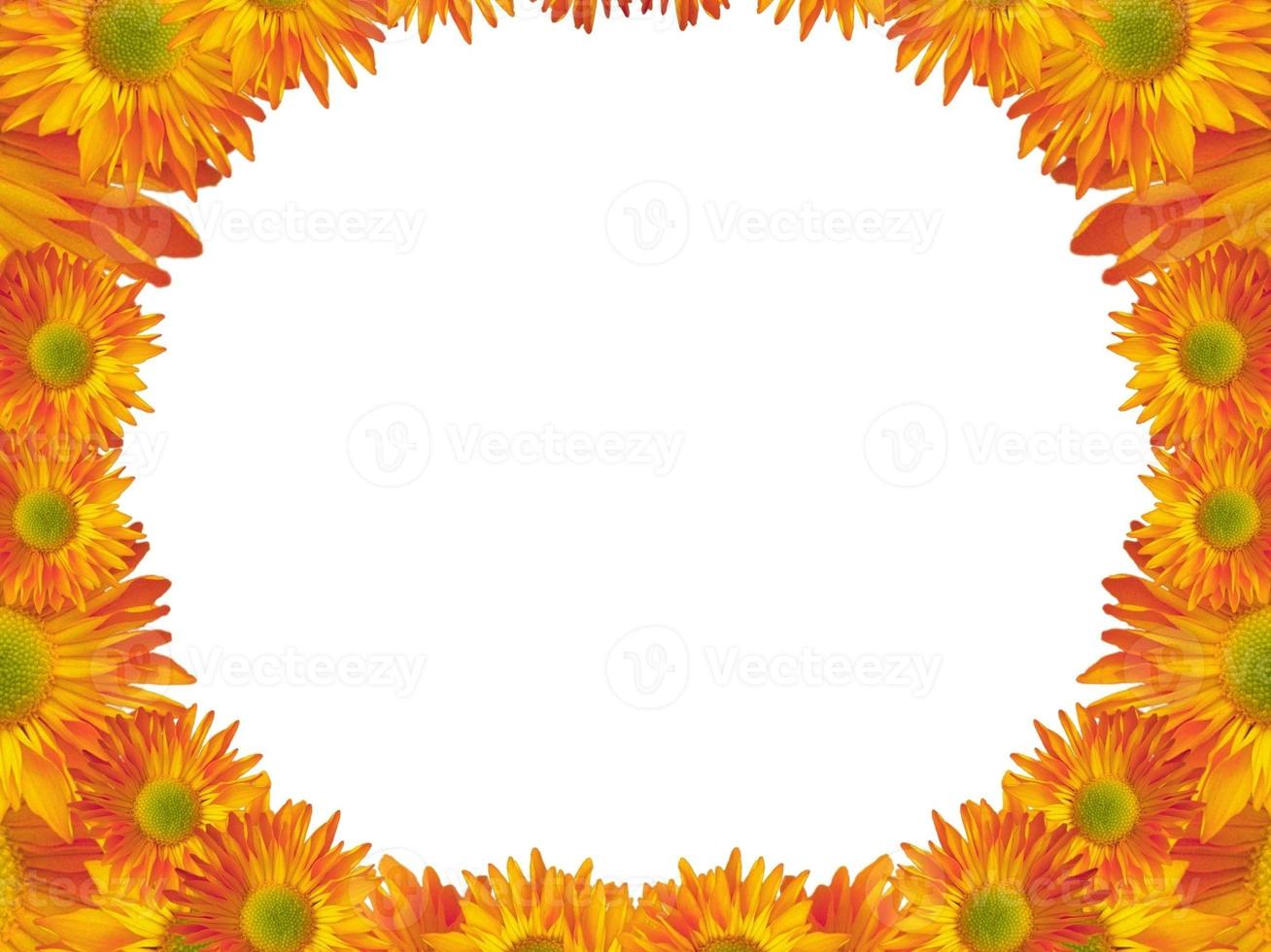 girasoli, gerbera sfondo, confine, clipart, carta, invito. giallo, arancia fiori. nozze, compleanno carta. foto