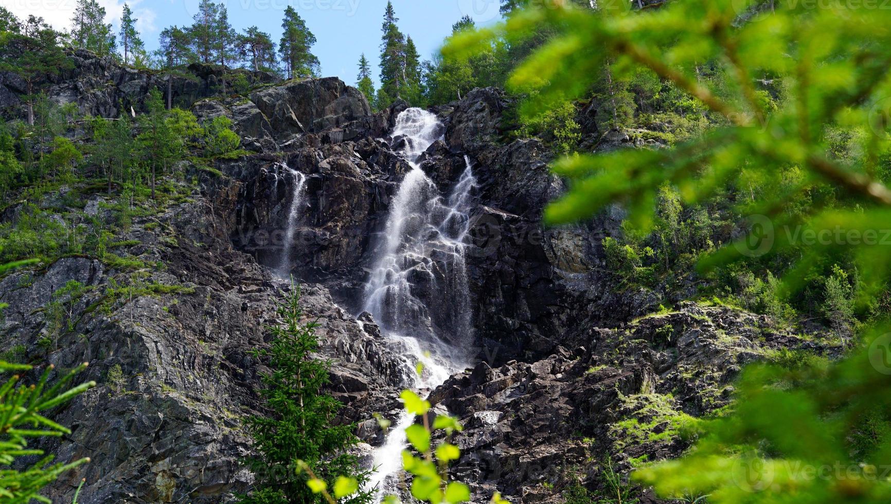 scenario scena di acqua nascosto in profondità nel il Forrest riempire con verde alto alberi natura foto