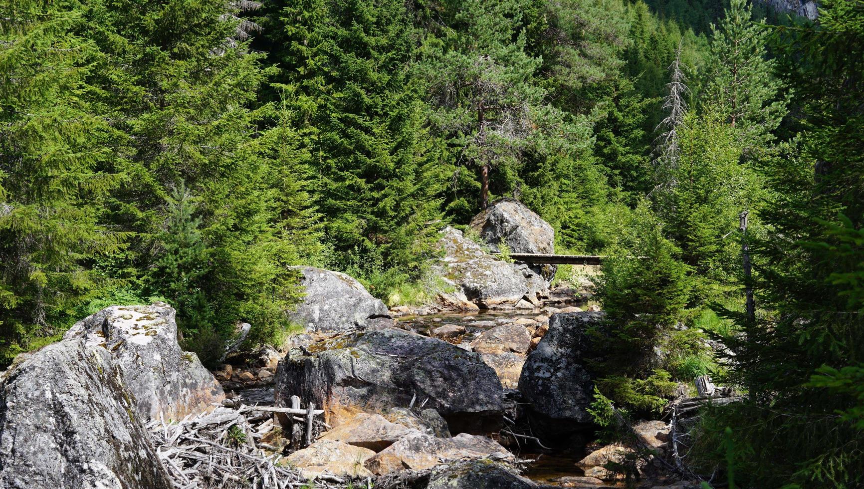 scenario natura paesaggio con rocce e verde Forrest alberi nel il azienda di fiume e il legna ponte nel il sfondo foto