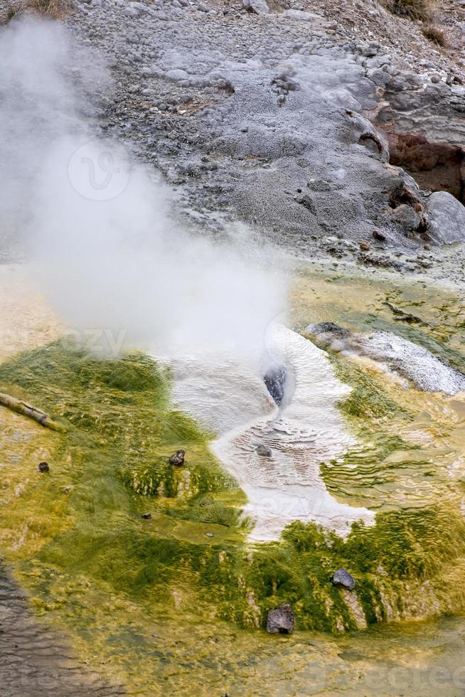 bacino del geyser norris nel parco nazionale di Yellowstone foto