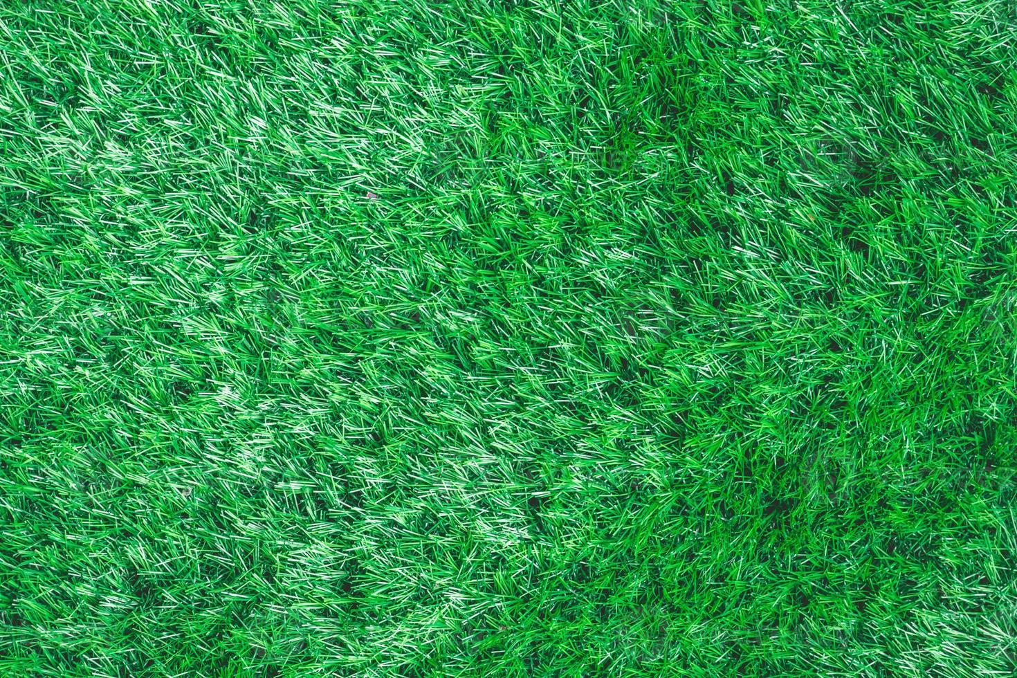 sfondo di un' verde erba. foto
