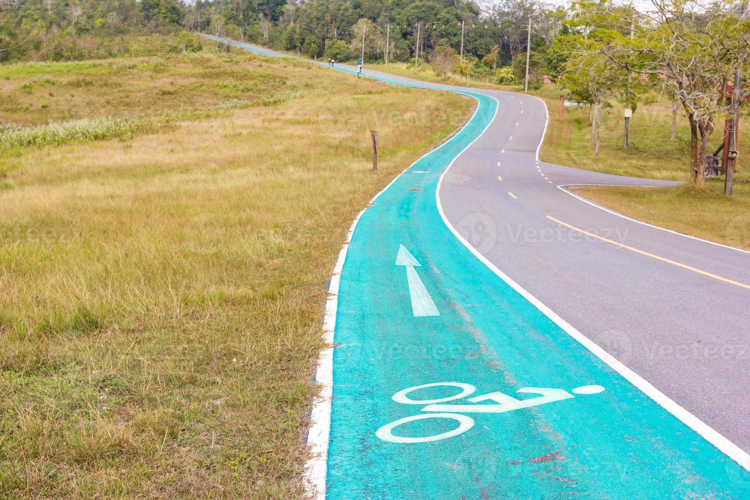 bicicletta simbolo su strada foto