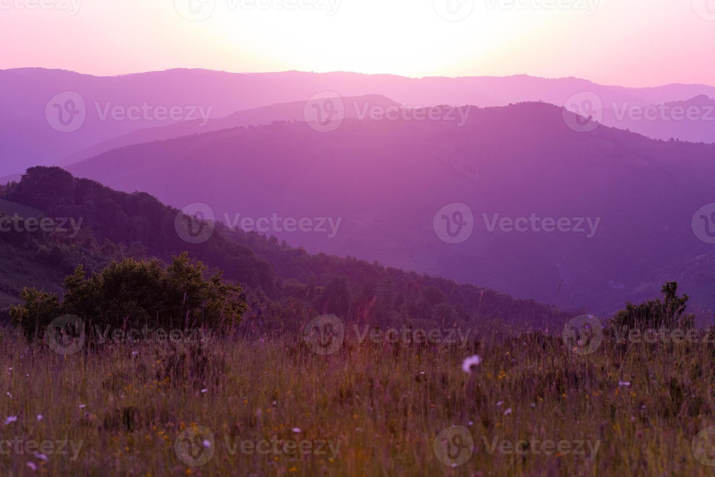 ultra viola viola estate paesaggio foto