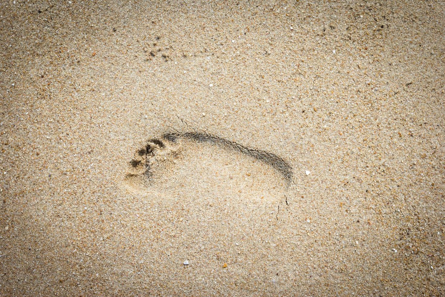piede stampe su un' sabbioso spiaggia foto