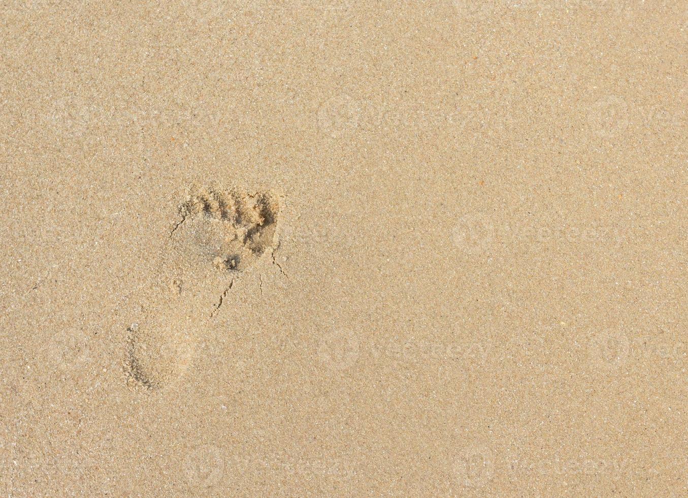 piede stampe su un' sabbioso spiaggia foto