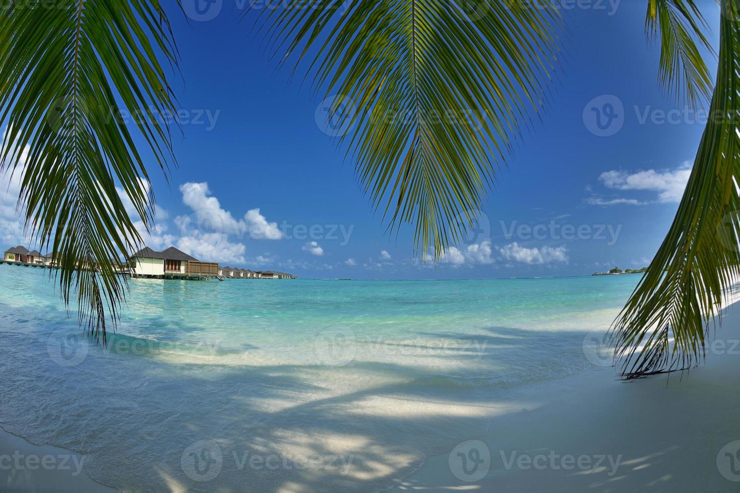 paesaggio tropicale della spiaggia foto