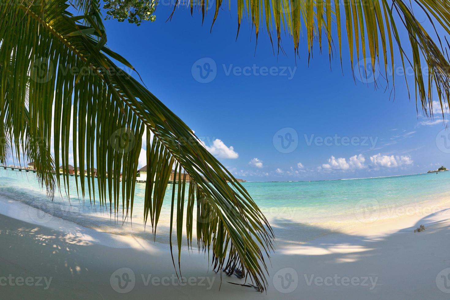 paesaggio tropicale della spiaggia foto