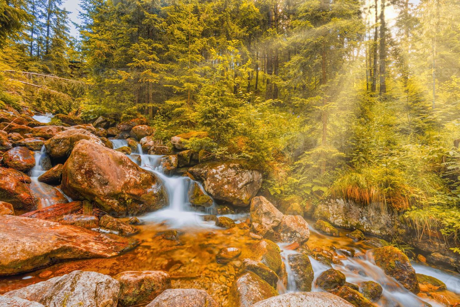 autunno torrente bosco con soleggiato giallo alberi fogliame rocce nel foresta montagna. idilliaco viaggio escursioni a piedi paesaggio, bellissimo di stagione autunno natura. sorprendente sognare panoramico colorato all'aperto ispirare natura foto