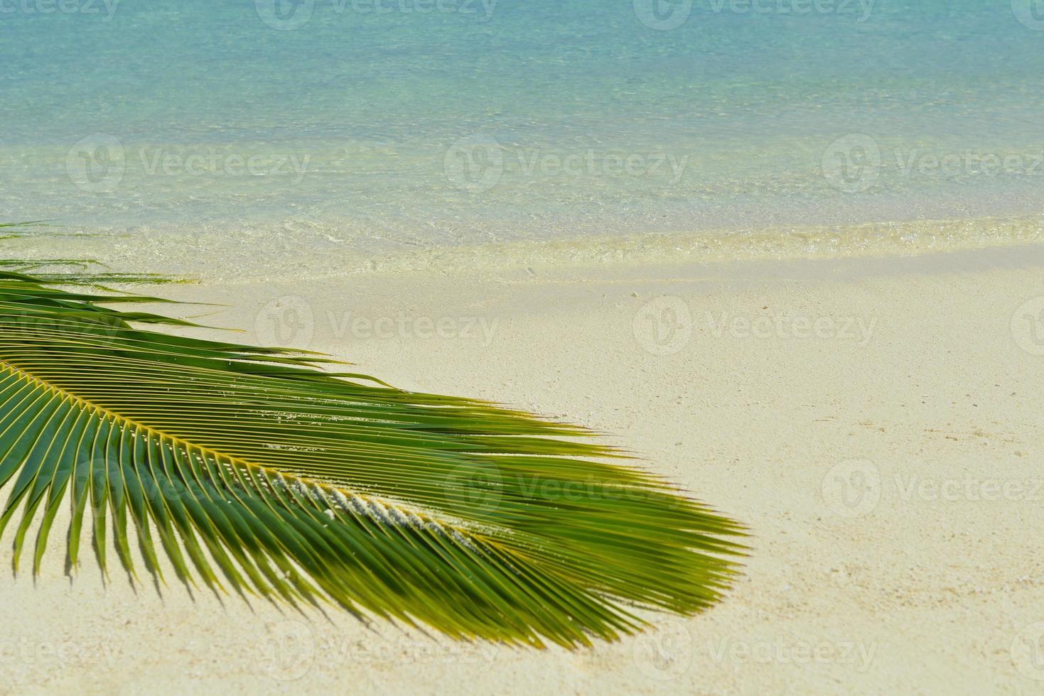 paesaggio tropicale della spiaggia foto