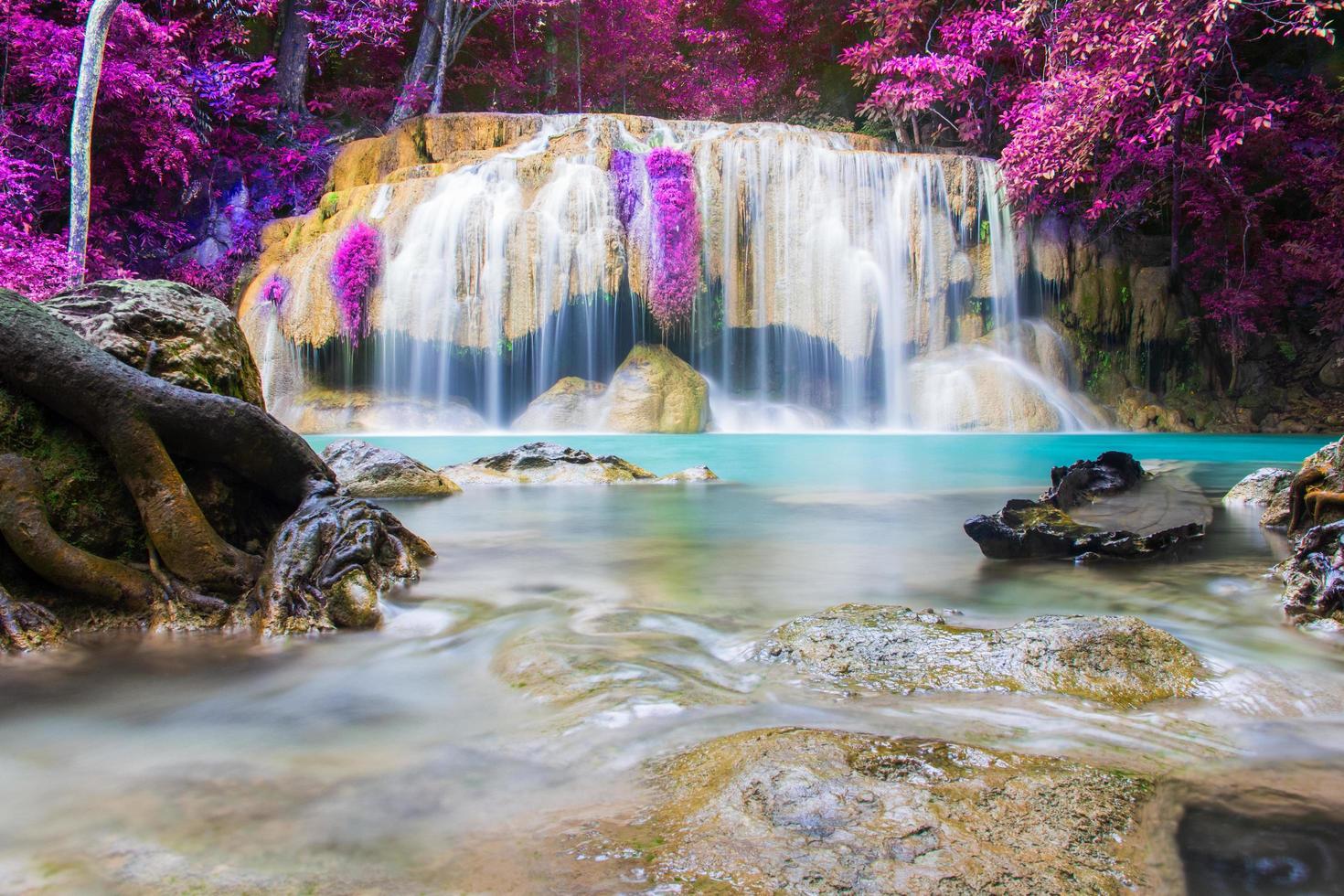 erawan cascata e bellissimo rosa foglie, erawan cascata, kanchanaburi, Tailandia foto