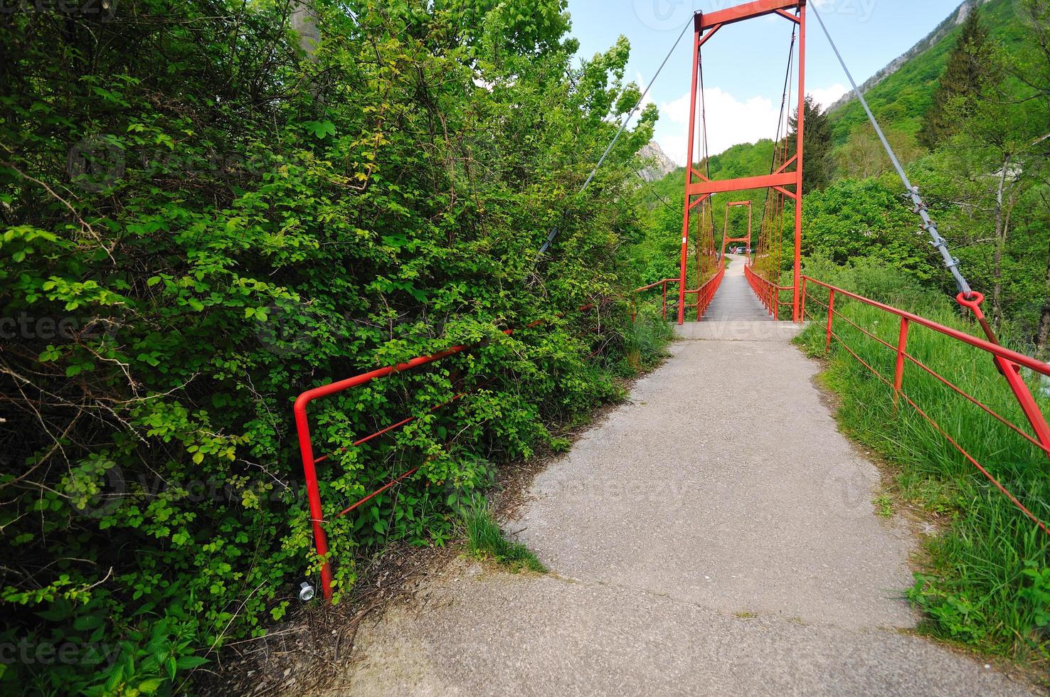 ponte sul fiume selvaggio foto