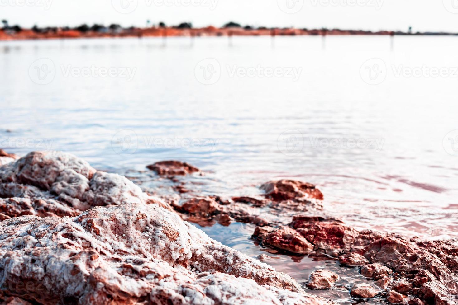 torrevieja rosa lago nel alicante, Spagna foto