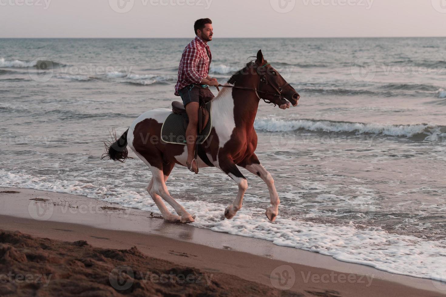 un' moderno uomo nel estate Abiti gode equitazione un' cavallo su un' bellissimo sabbioso spiaggia a tramonto. selettivo messa a fuoco foto