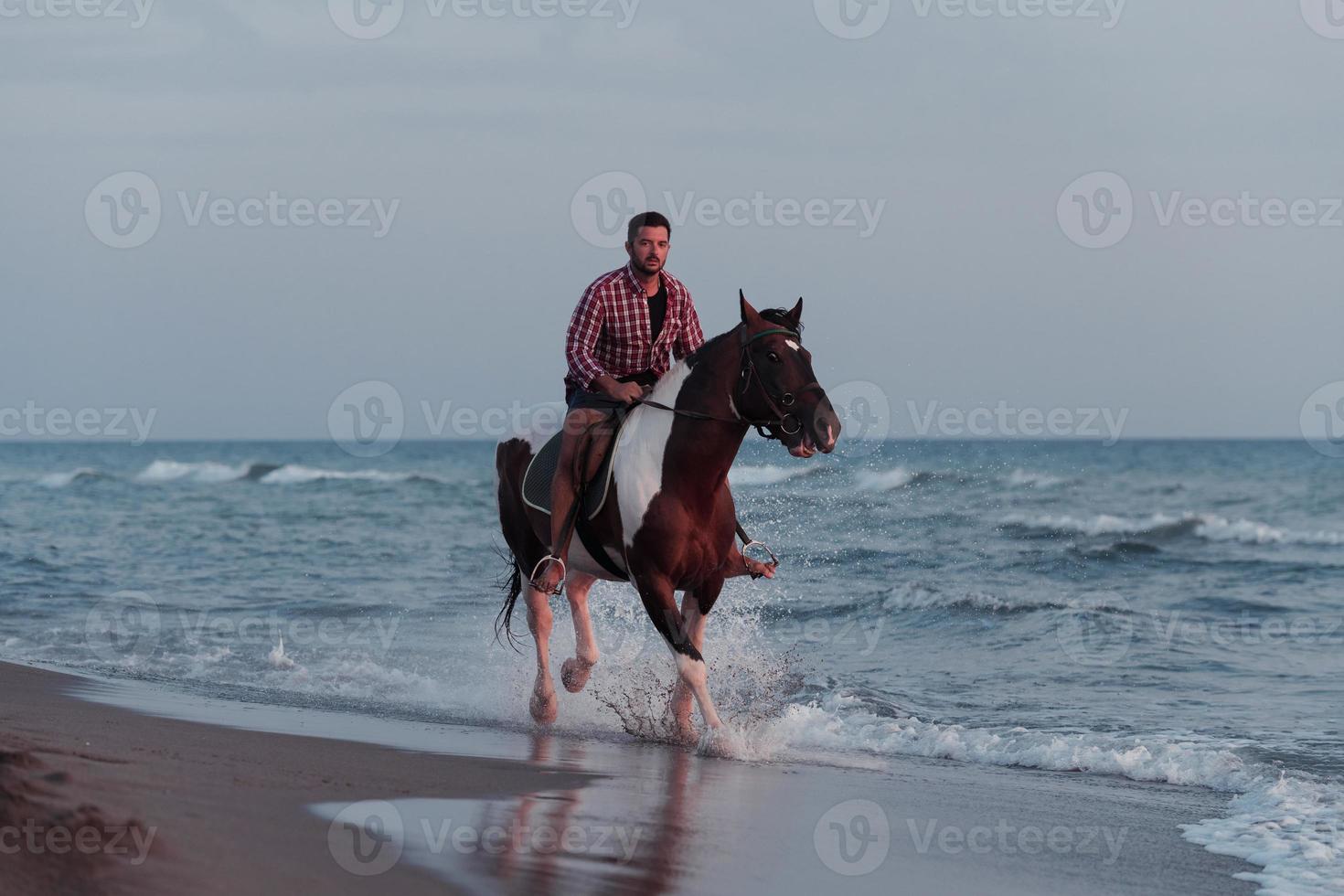 un' moderno uomo nel estate Abiti gode equitazione un' cavallo su un' bellissimo sabbioso spiaggia a tramonto. selettivo messa a fuoco foto