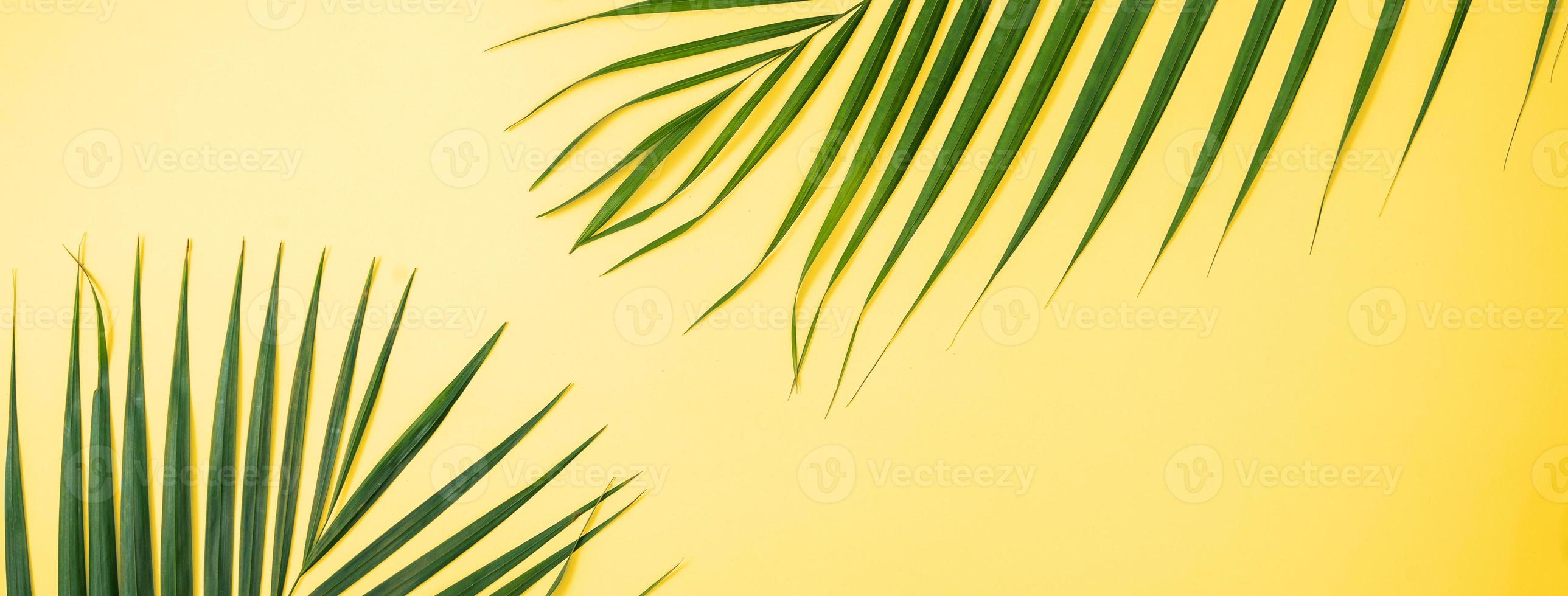 bellissimo tropicale palma Monstera le foglie ramo isolato su luminosa giallo sfondo, superiore Visualizza, piatto posizione, alto sopra estate bellezza vuoto design concetto. foto