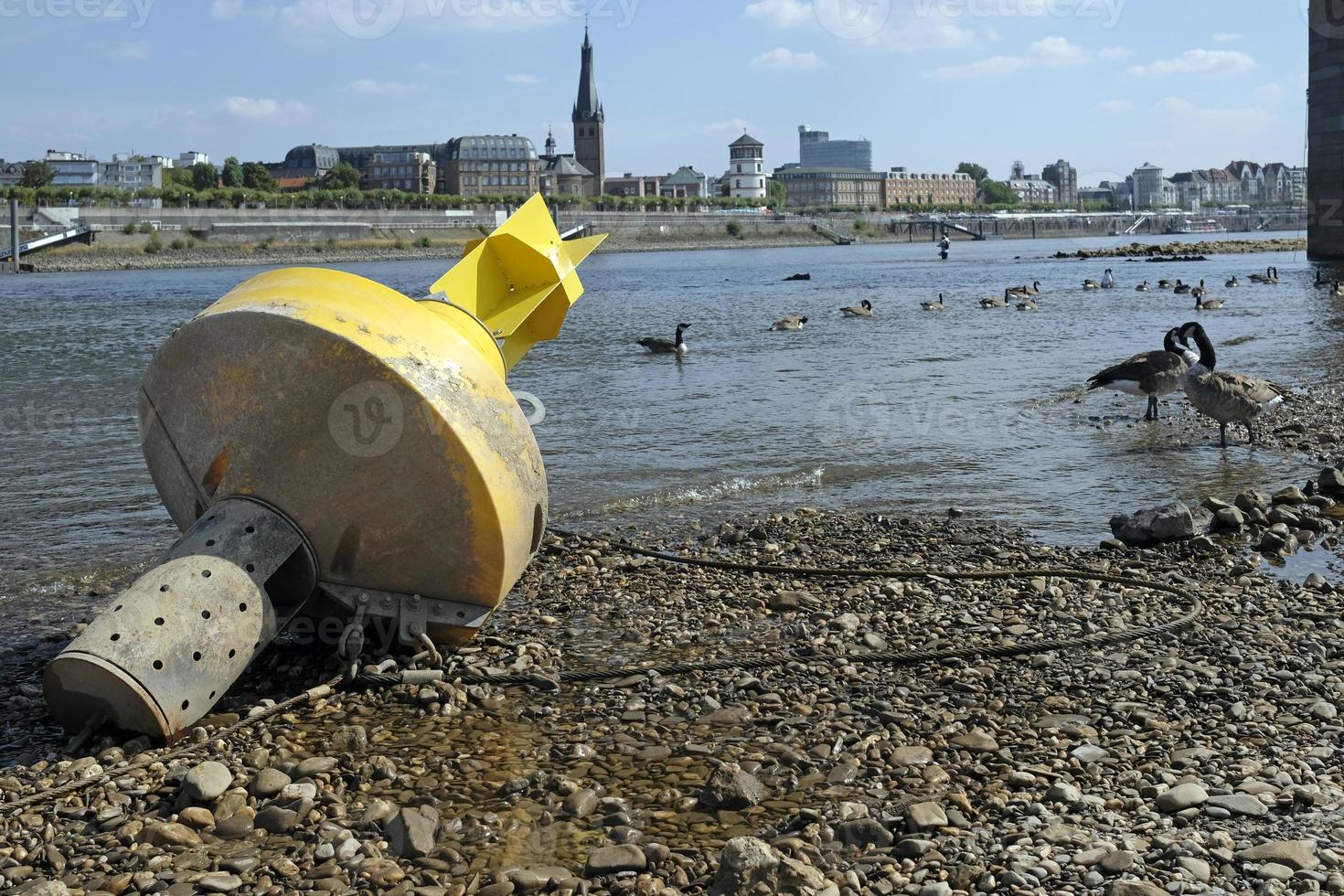 clima modificare - il Reno diminuisce e erba giri Marrone durante un' acuto siccità nel dusseldorf, Germania foto