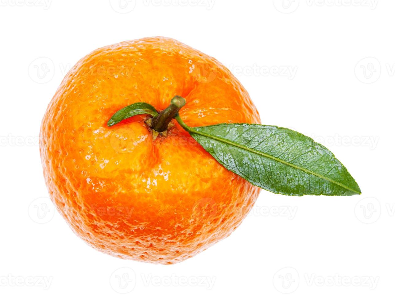 superiore Visualizza di fresco abcaso mandarine con foglia foto