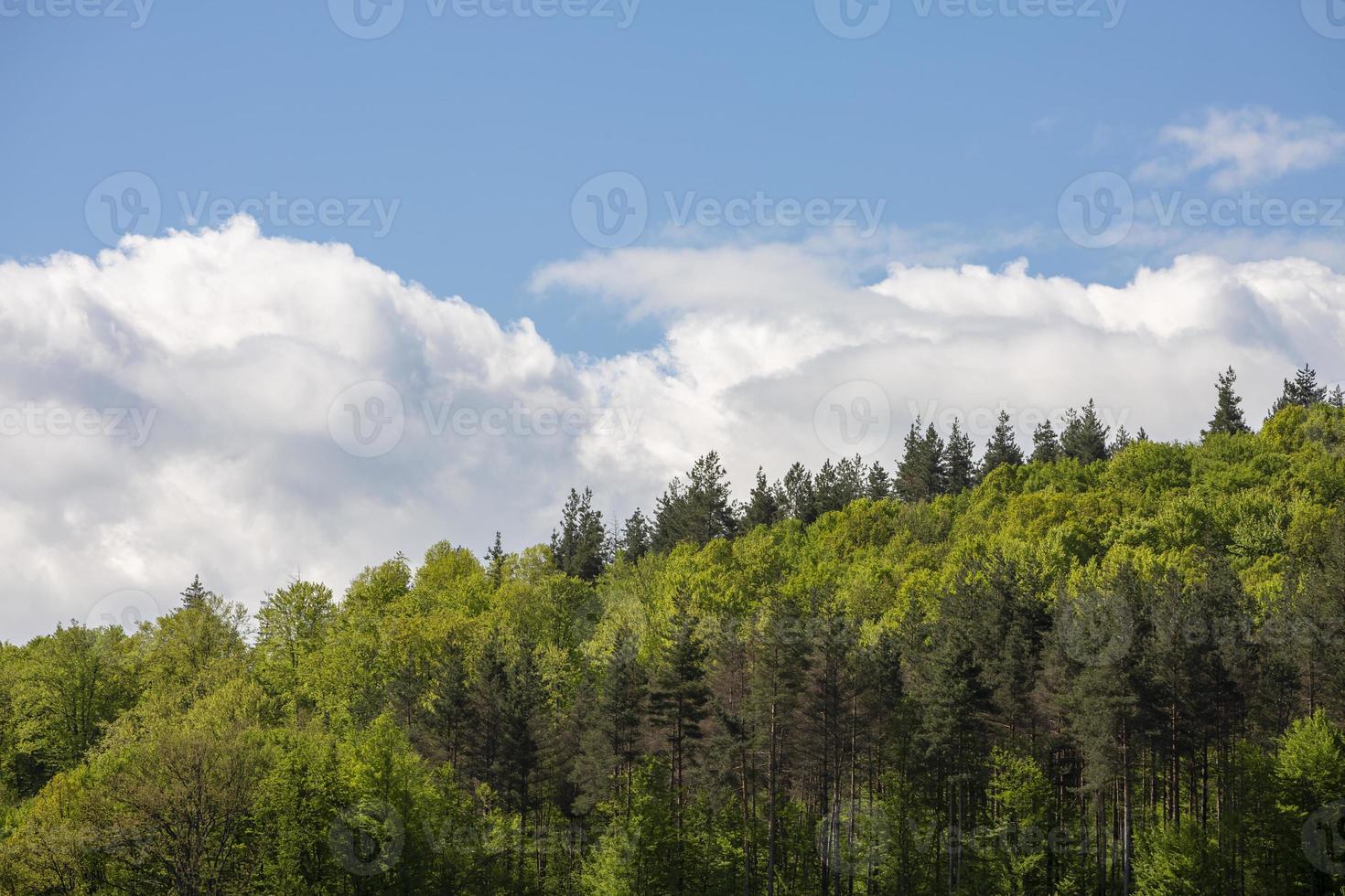 colline verdi panoramiche contro il cielo azzurro con nuvole. foto