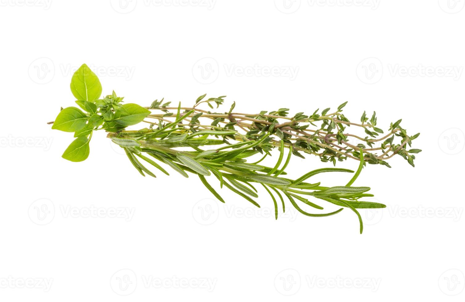 fresco aroma erbe aromatiche su bianca sfondo foto