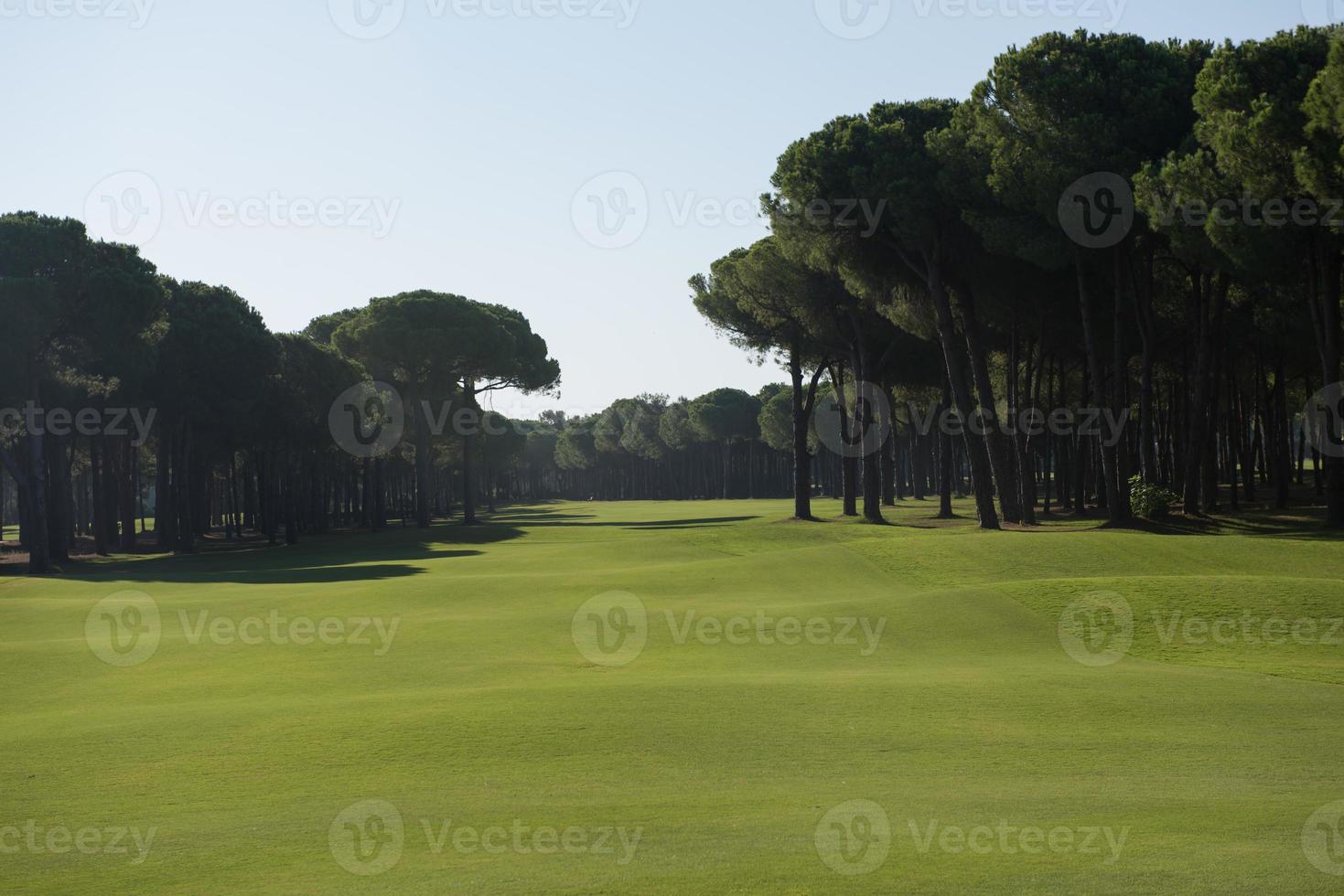 golf corso Visualizza foto