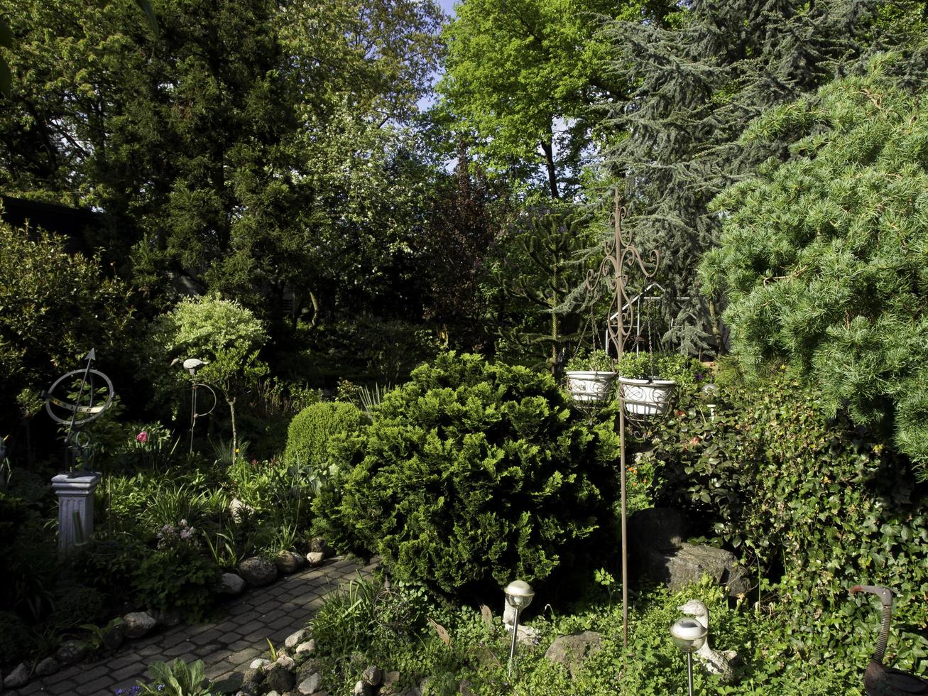 estati fiori nel il giardino foto