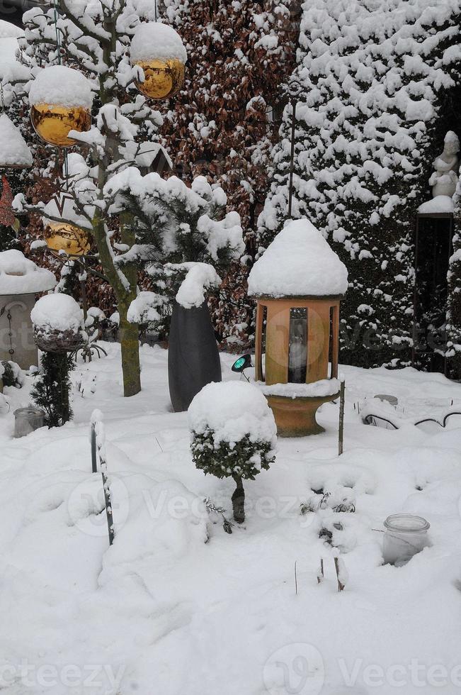 inverno tempo nel un' Tedesco giardino foto