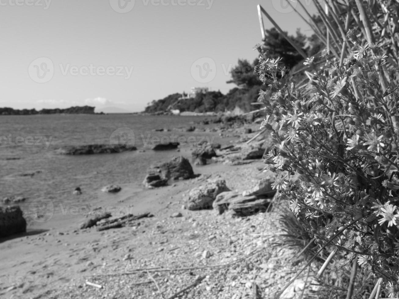 katakolon nel Grecia foto