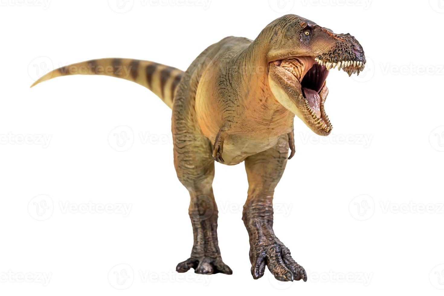 tirannosauro rex dinosauro su bianca isolato sfondo ritaglio sentiero foto