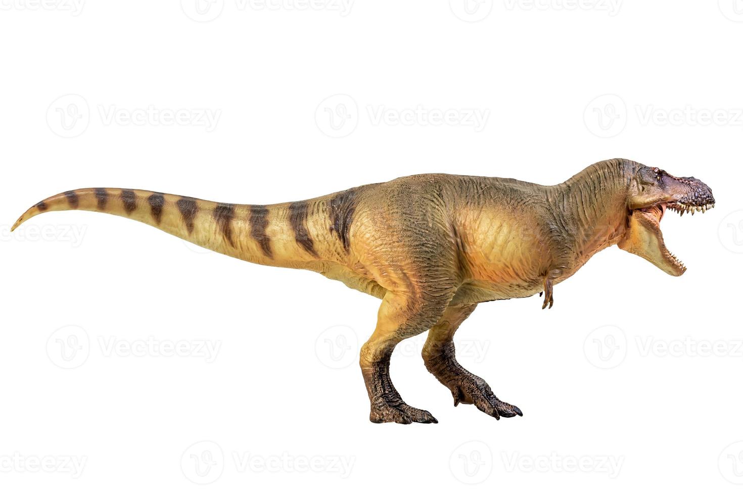 tirannosauro rex dinosauro su bianca isolato sfondo ritaglio sentiero foto