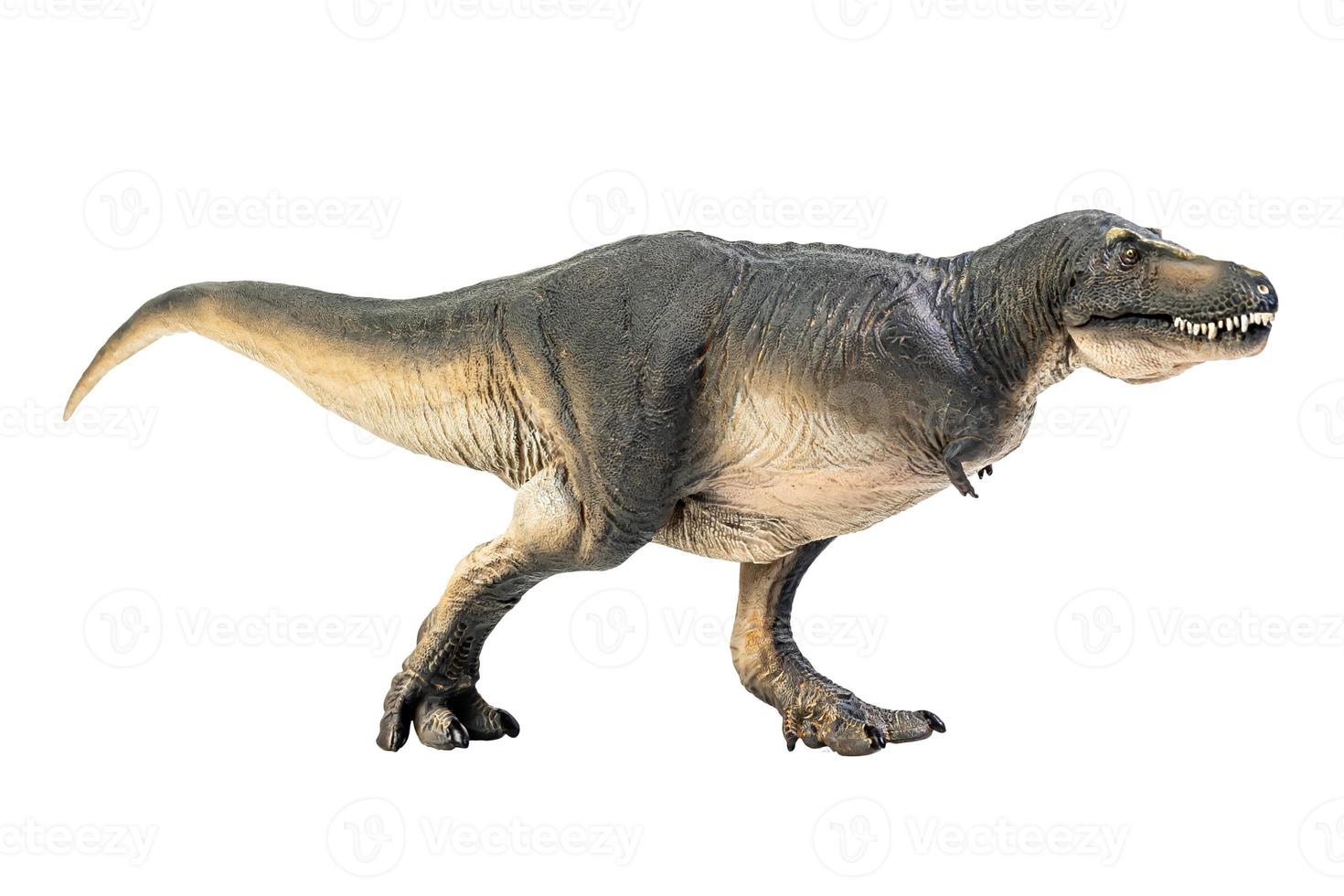 tarbosaurus dinosauro su bianca isolato sfondo ritaglio sentiero foto