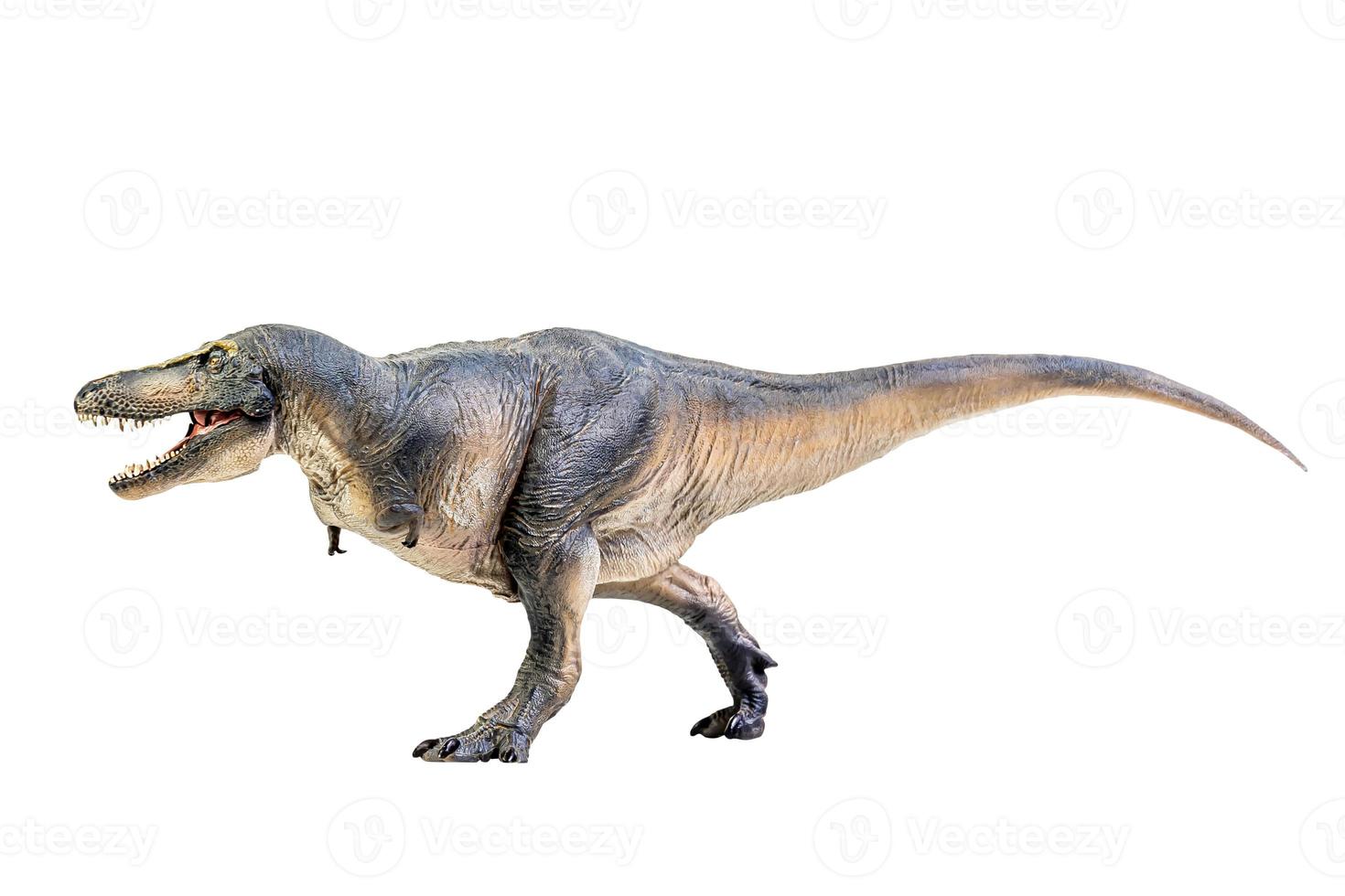 tarbosaurus dinosauro su bianca isolato sfondo ritaglio sentiero foto