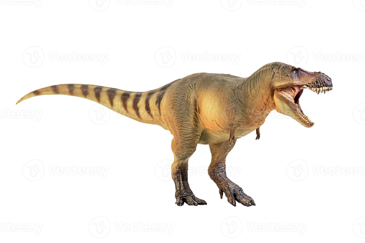 tirannosauro rex dinosauro su bianca isolato sfondo ritaglio sentiero foto