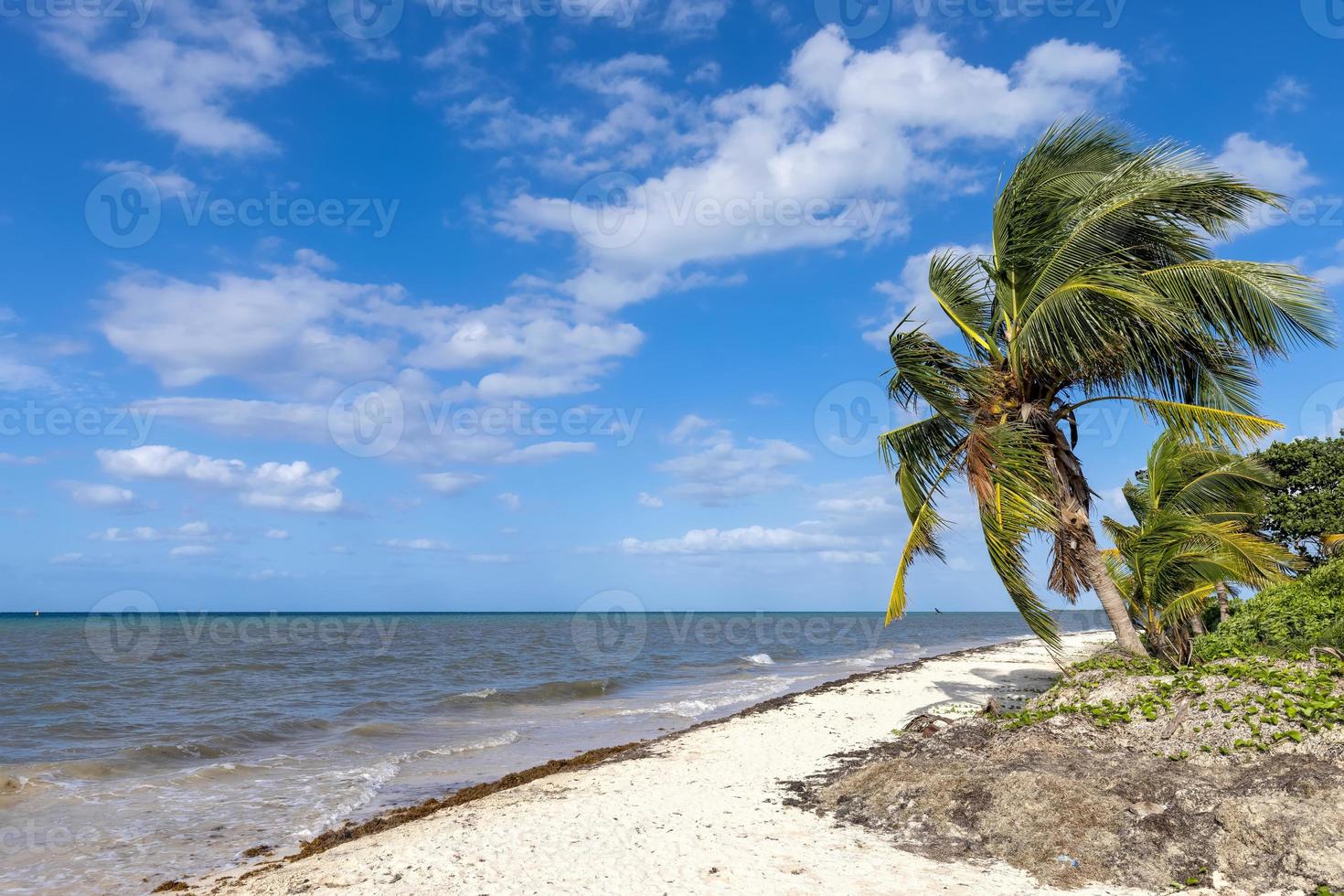 Messico, spiagge, giochi, e alberghi di cozumel isola, turismo e vacanza destinazione foto