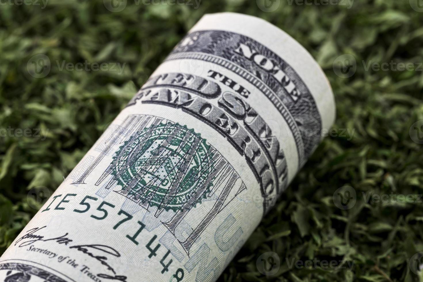 valuta americana sul condimento verde foto