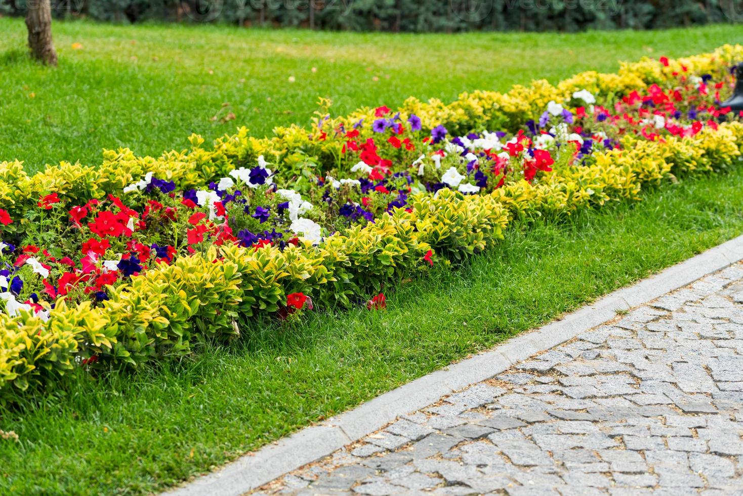 decorativo aiuole con fiori e cespugli nel paesaggio parco foto