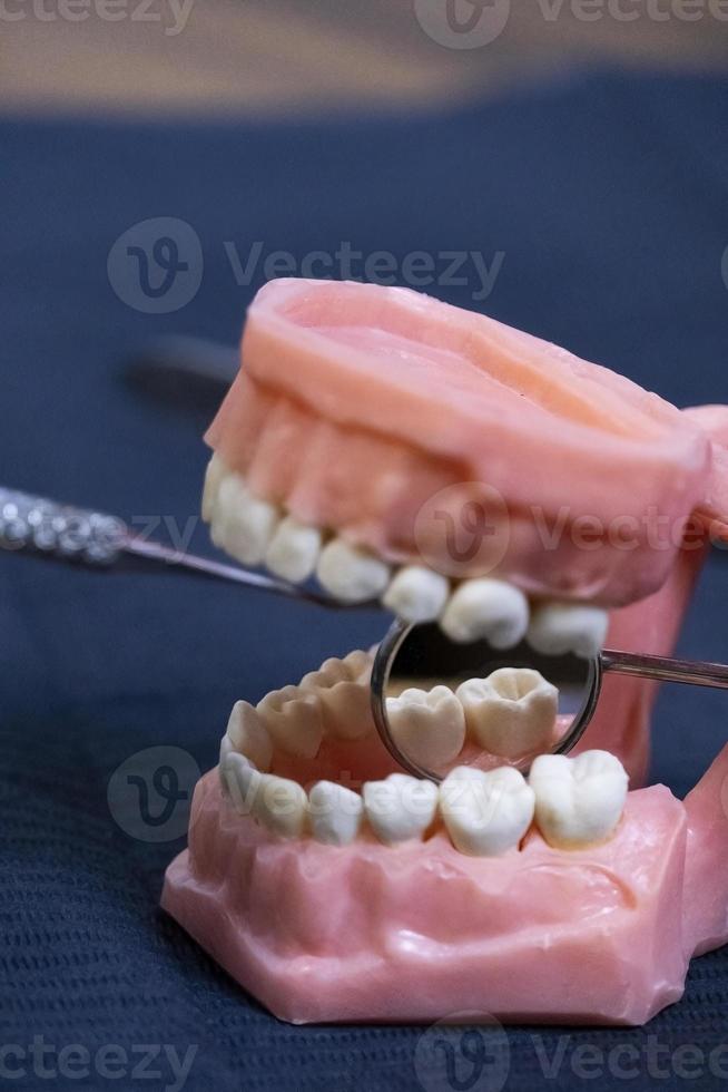 il dentista è Tenere dentiere nel il suo mani. foto